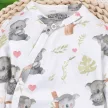 Nini - Koala kislány baba body koala 68